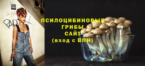 гидропоника Абаза