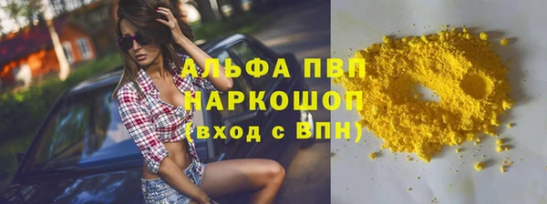 прущие грибы Кострома