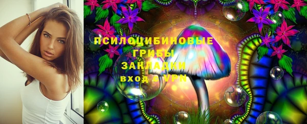 мдпв Нижневартовск